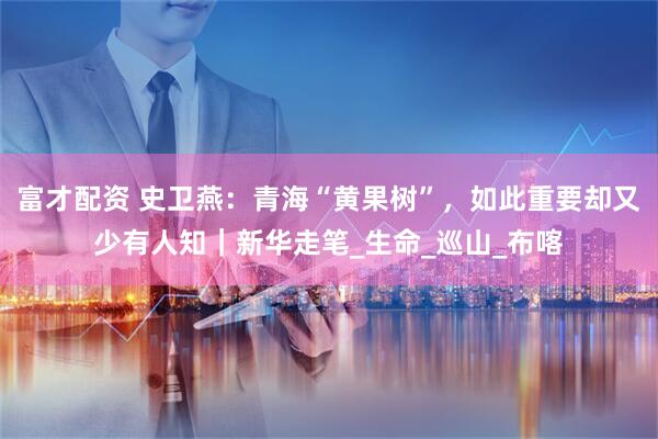 富才配资 史卫燕：青海“黄果树”，如此重要却又少有人知｜新华走笔_生命_巡山_布喀