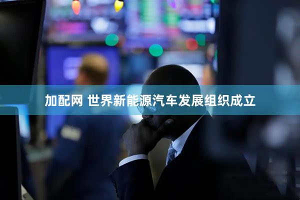加配网 世界新能源汽车发展组织成立