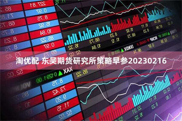 淘优配 东吴期货研究所策略早参20230216